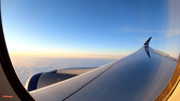 Scandinavian Airlines A350-900 Afternoon Landing in Chicago [Video]