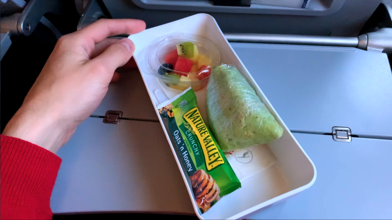 Lufthansa’s Economy Class Breakfast SUCKS! San Francisco to Frankfurt A340-600 REVIEW [Video]
