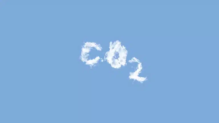 How to offset carbon footprint as a business with two clicks (Carbon Easy Review 2023)