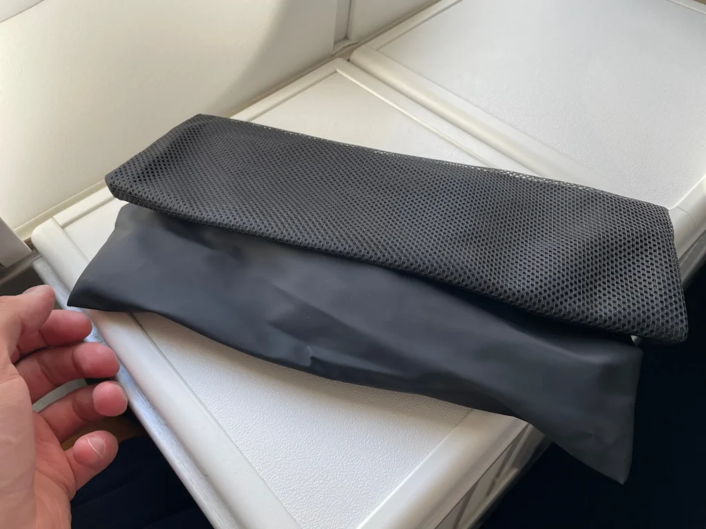 Lufthansa Buenos Aires To Frankfurt Business Class Review (2023) LH511