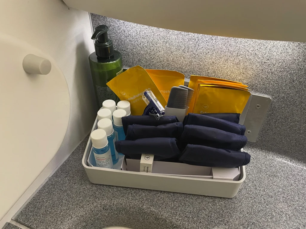 Lufthansa Buenos Aires To Frankfurt Business Class Review (2023) LH511
