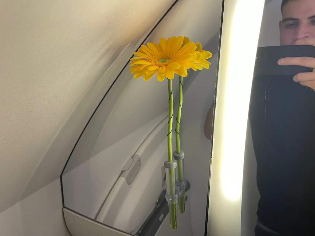 Lufthansa Buenos Aires To Frankfurt Business Class Review (2023) LH511