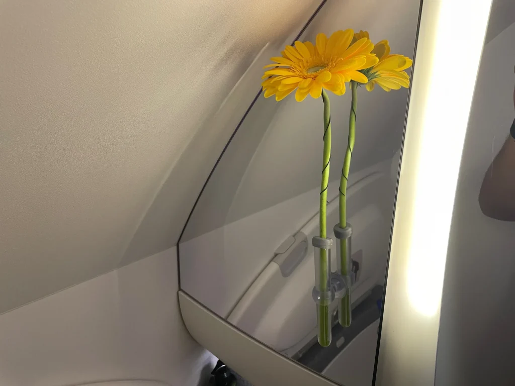 Lufthansa Buenos Aires To Frankfurt Business Class Review (2023) LH511