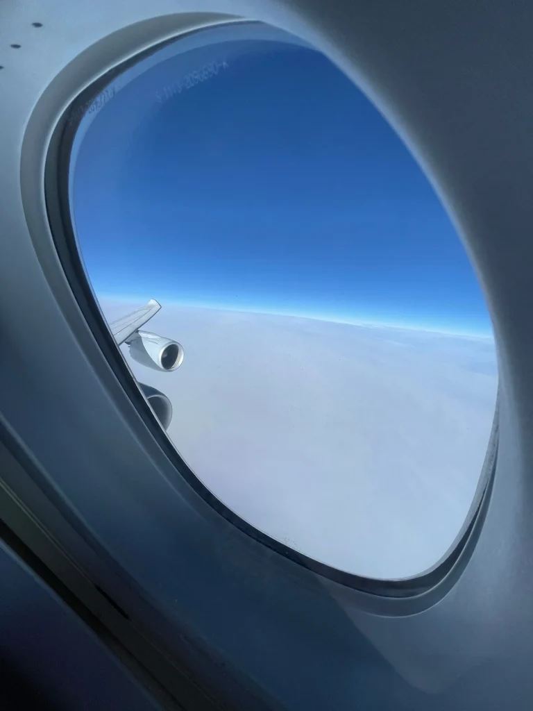 Lufthansa Buenos Aires To Frankfurt Business Class Review (2023) LH511