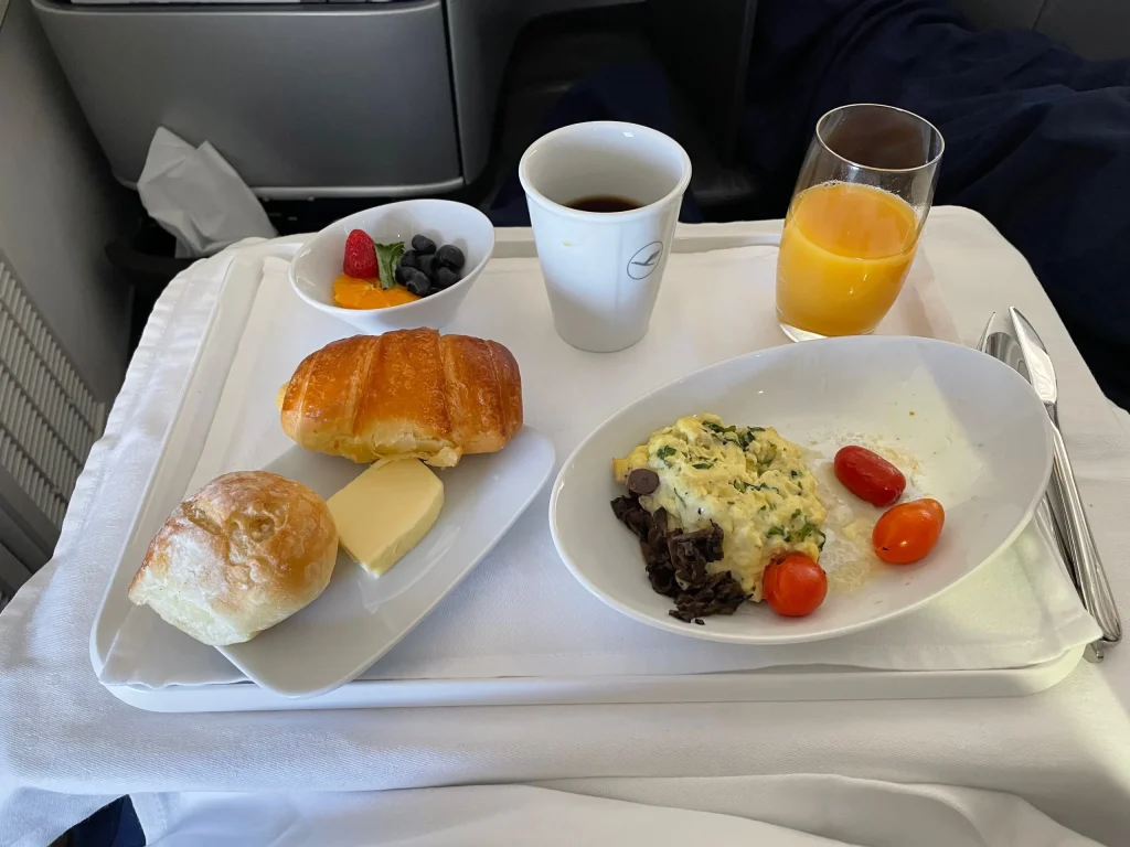 Lufthansa Buenos Aires To Frankfurt Business Class Review (2023) LH511