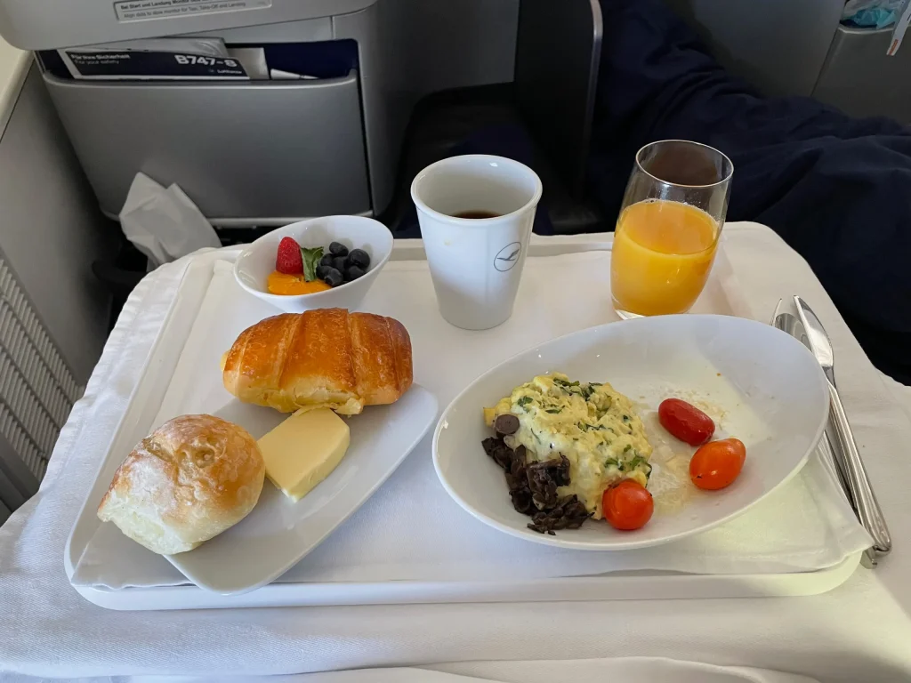 Lufthansa Buenos Aires To Frankfurt Business Class Review (2023) LH511