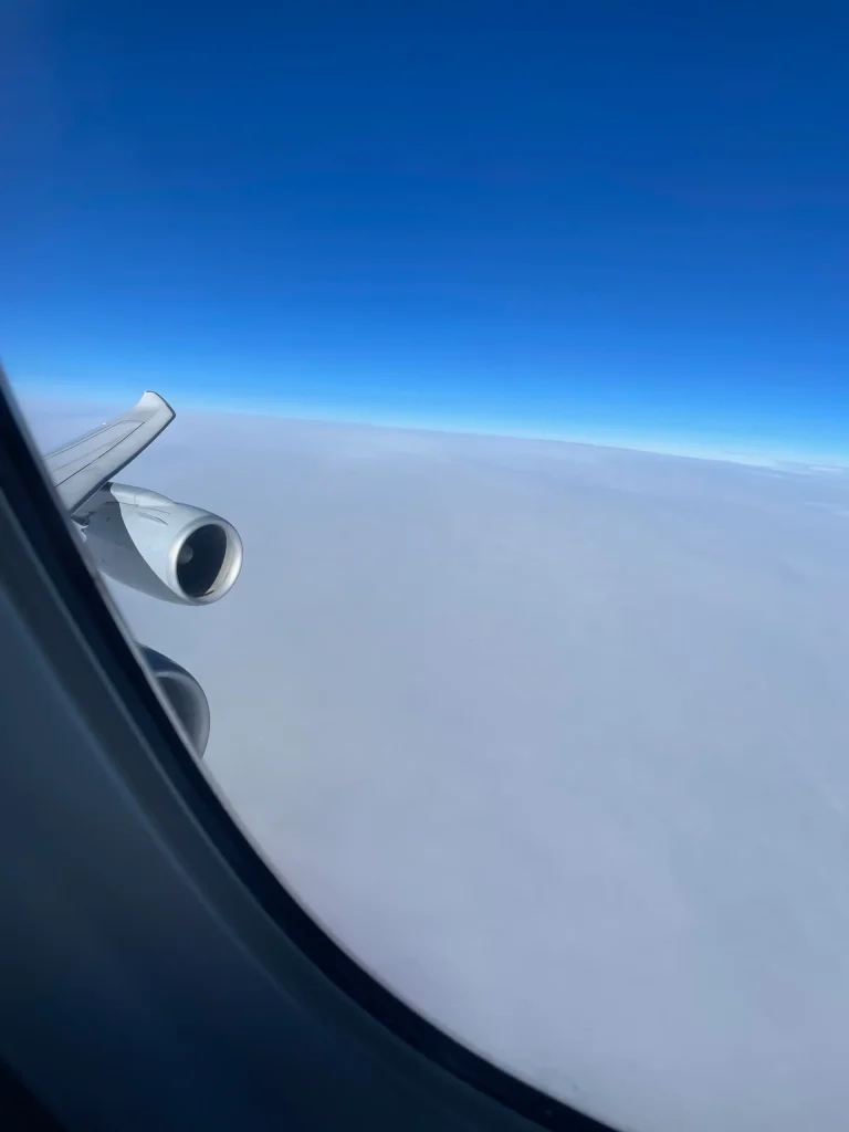 Lufthansa Buenos Aires To Frankfurt Business Class Review (2023) LH511