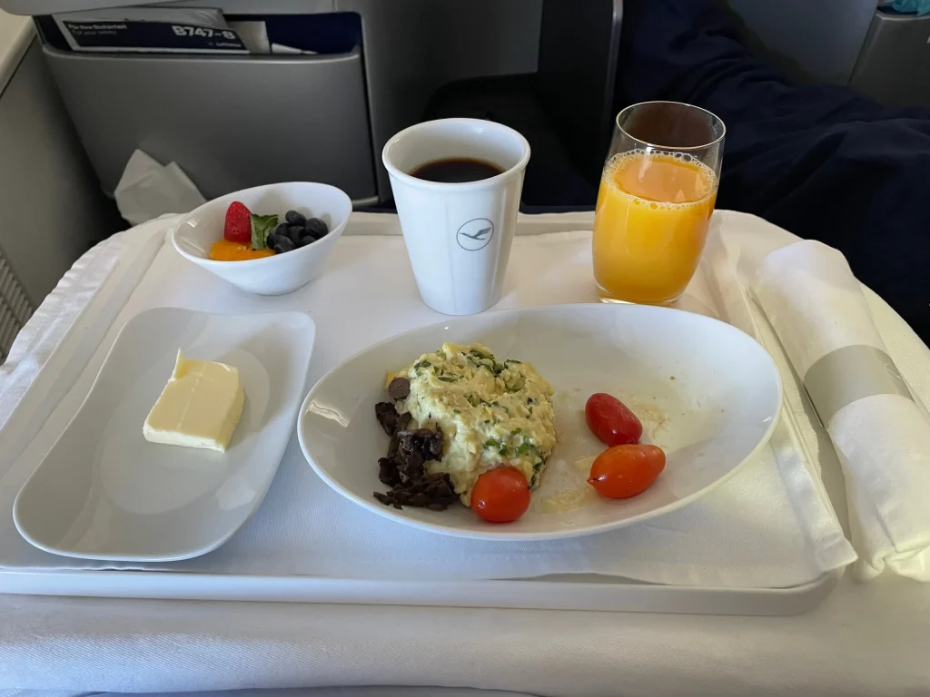 Lufthansa Buenos Aires To Frankfurt Business Class Review (2023) LH511