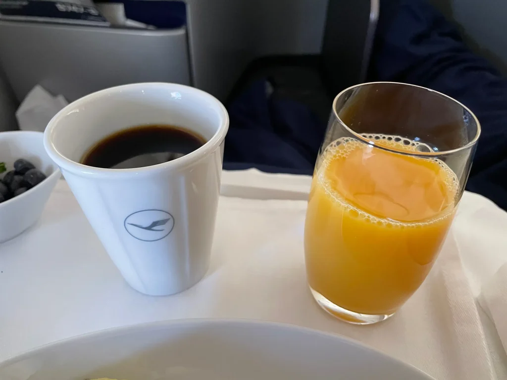 Lufthansa Buenos Aires To Frankfurt Business Class Review (2023) LH511