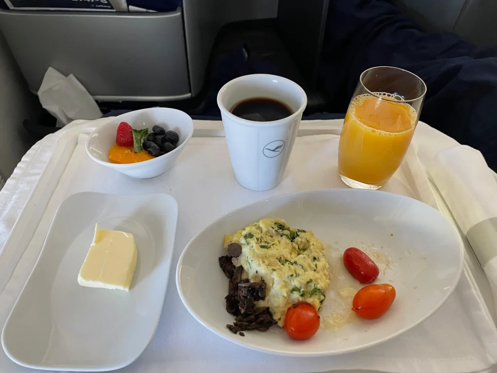 Lufthansa Buenos Aires To Frankfurt Business Class Review (2023) LH511