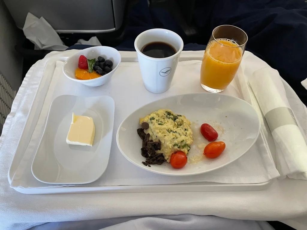 Lufthansa Buenos Aires To Frankfurt Business Class Review (2023) LH511