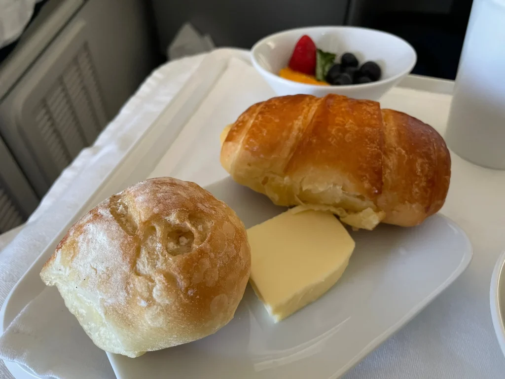 Lufthansa Buenos Aires To Frankfurt Business Class Review (2023) LH511