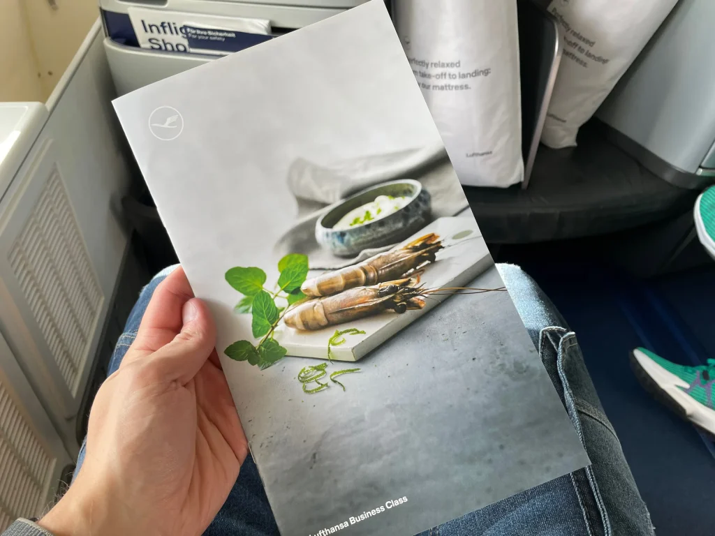 Lufthansa Buenos Aires To Frankfurt Business Class Review (2023) LH511