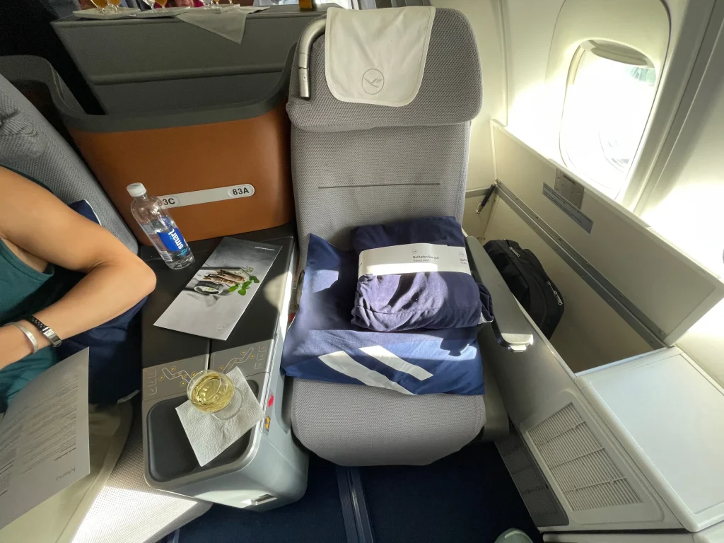 Lufthansa Buenos Aires To Frankfurt Business Class Review (2023) LH511