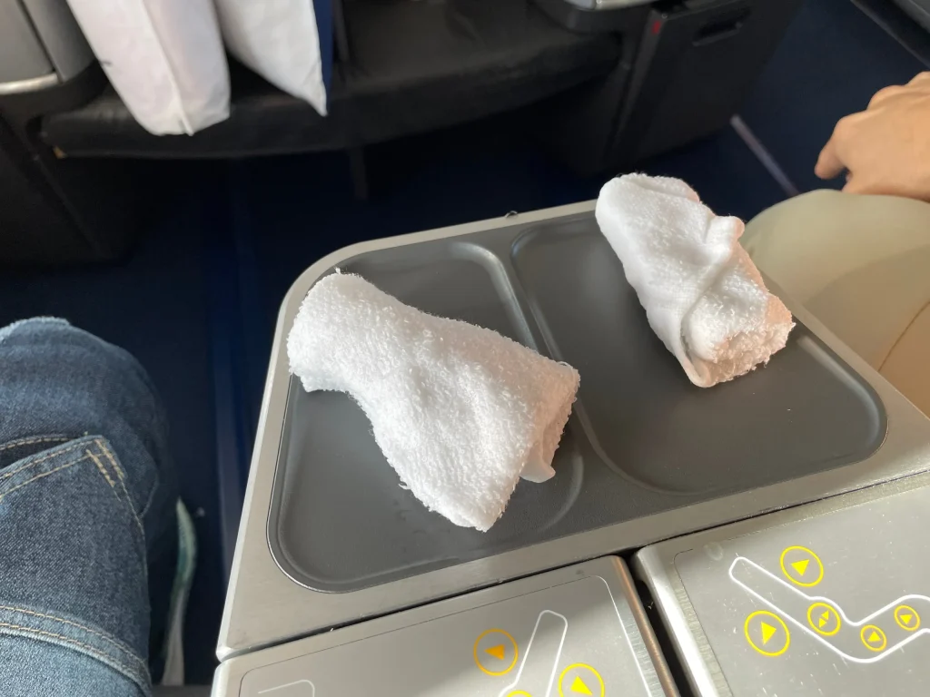 Lufthansa Buenos Aires To Frankfurt Business Class Review (2023) LH511