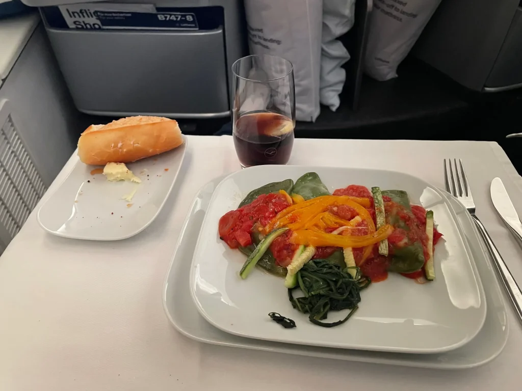 Lufthansa Buenos Aires To Frankfurt Business Class Review (2023) LH511