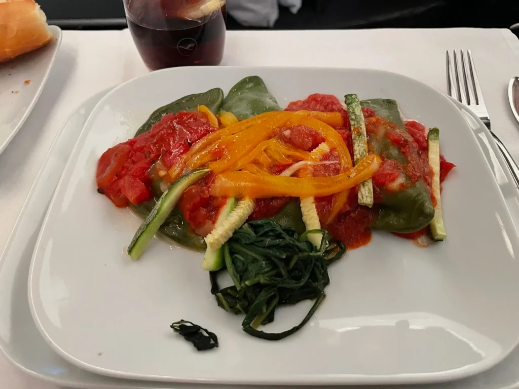 Lufthansa Buenos Aires To Frankfurt Business Class Review (2023) LH511
