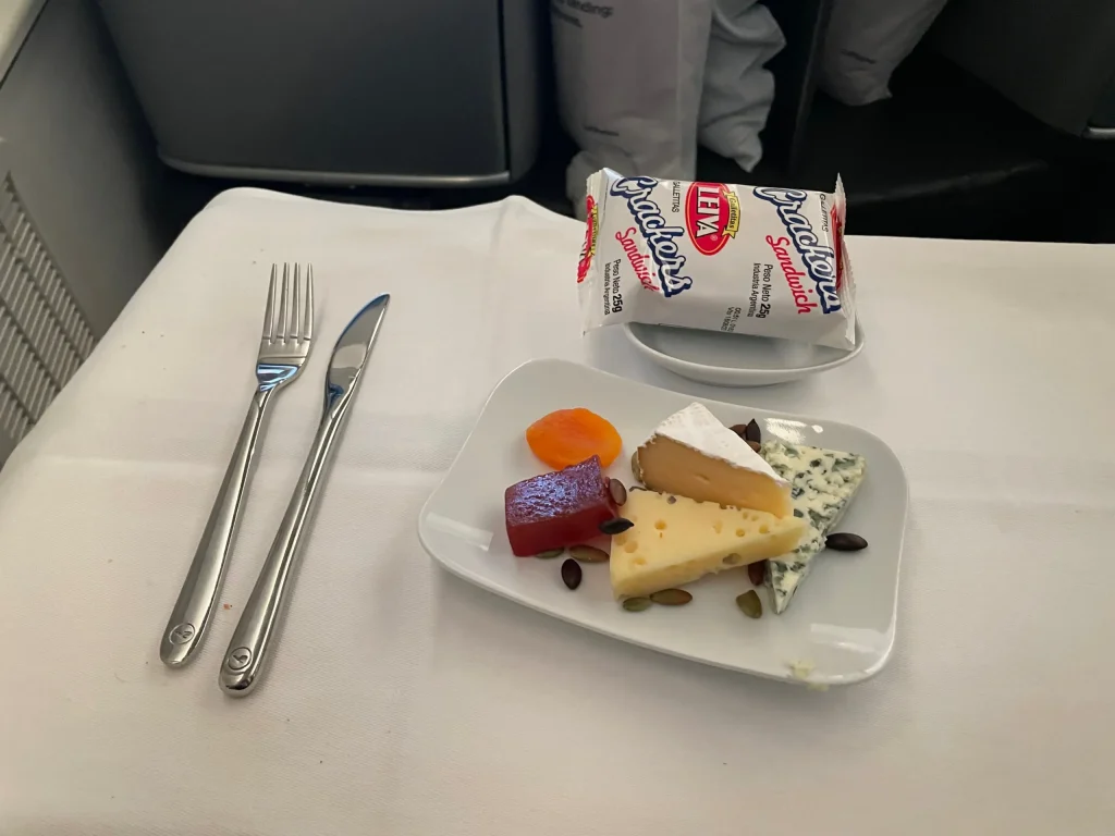 Lufthansa Buenos Aires To Frankfurt Business Class Review (2023) LH511