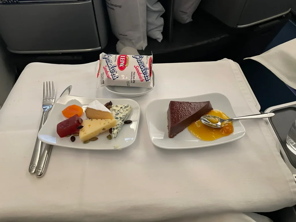 Lufthansa Buenos Aires To Frankfurt Business Class Review (2023) LH511