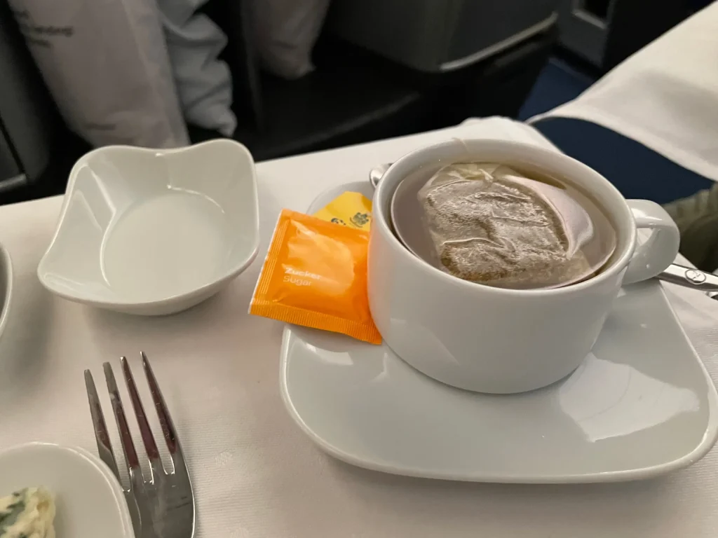 Lufthansa Buenos Aires To Frankfurt Business Class Review (2023) LH511