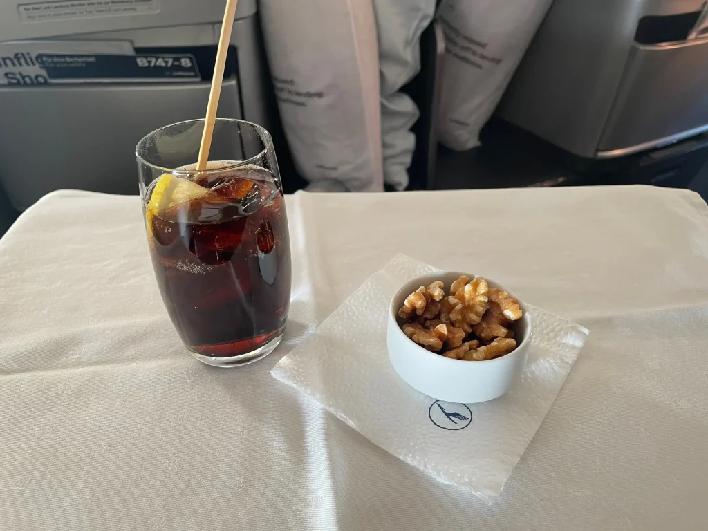 Lufthansa Buenos Aires To Frankfurt Business Class Review (2023) LH511