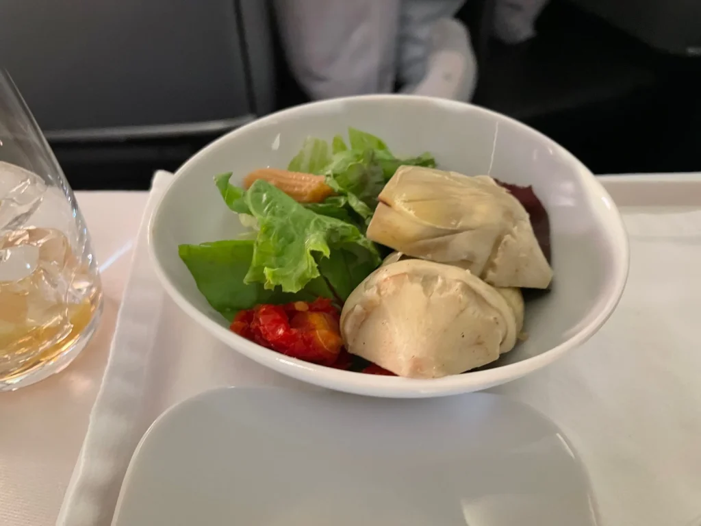 Lufthansa Buenos Aires To Frankfurt Business Class Review (2023) LH511