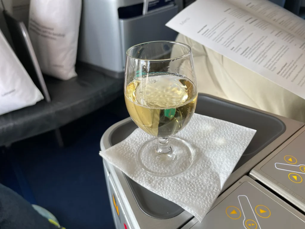 Lufthansa Buenos Aires To Frankfurt Business Class Review (2023) LH511