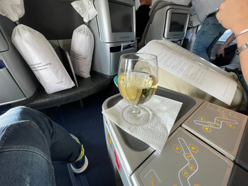 Lufthansa Buenos Aires To Frankfurt Business Class Review (2023) LH511