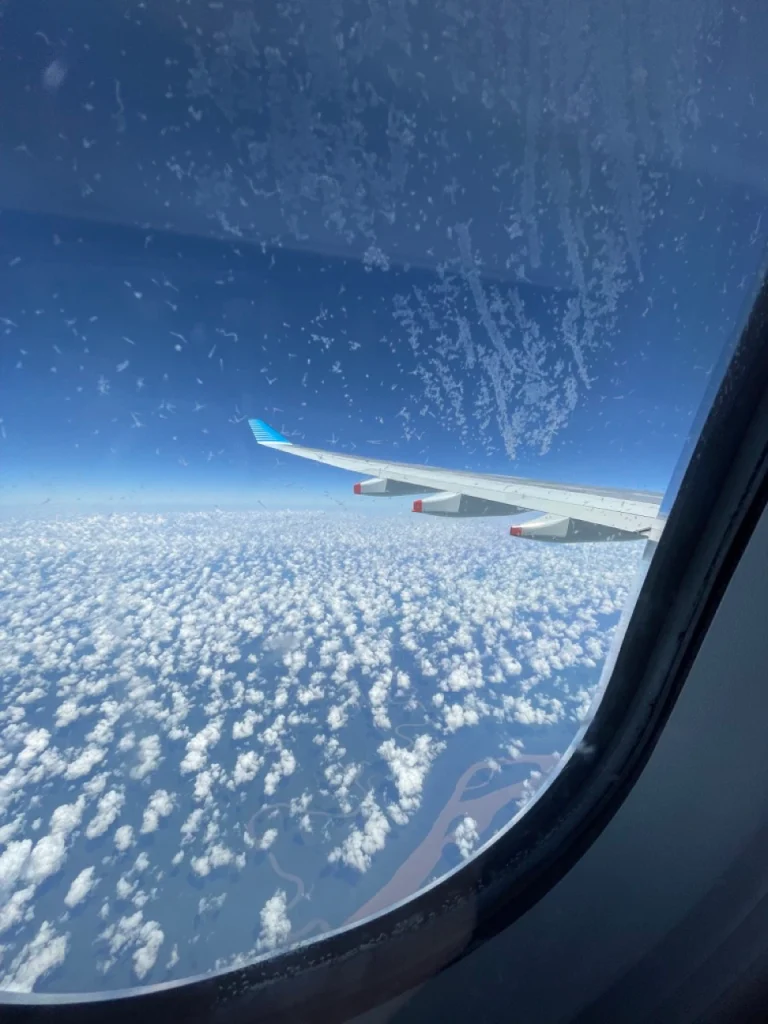 Aerolineas Argentinas A330-200 Economy Class (17)