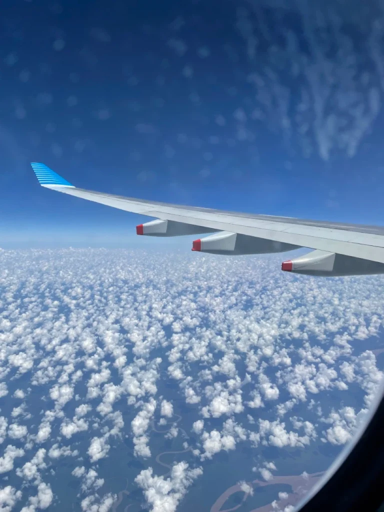 Aerolineas Argentinas A330-200 Economy Class (19)