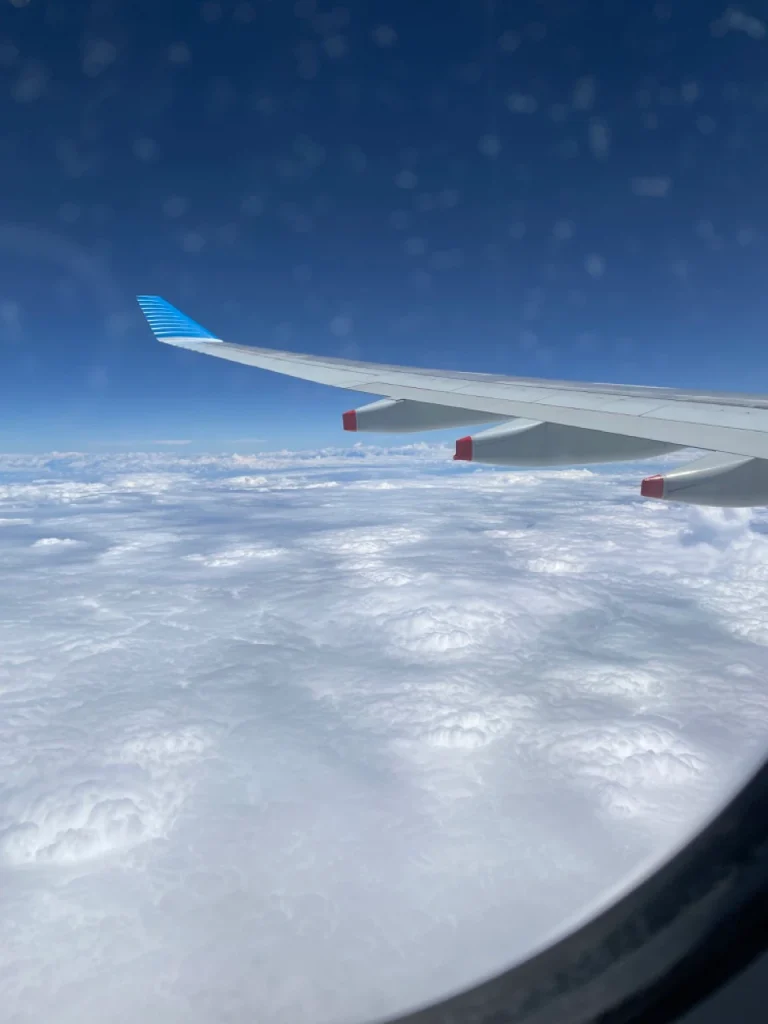 Aerolineas Argentinas A330-200 Economy Class (20)