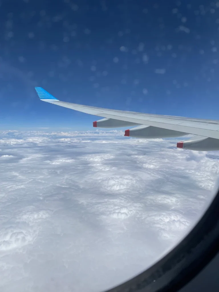 Aerolineas Argentinas A330-200 Economy Class (21)