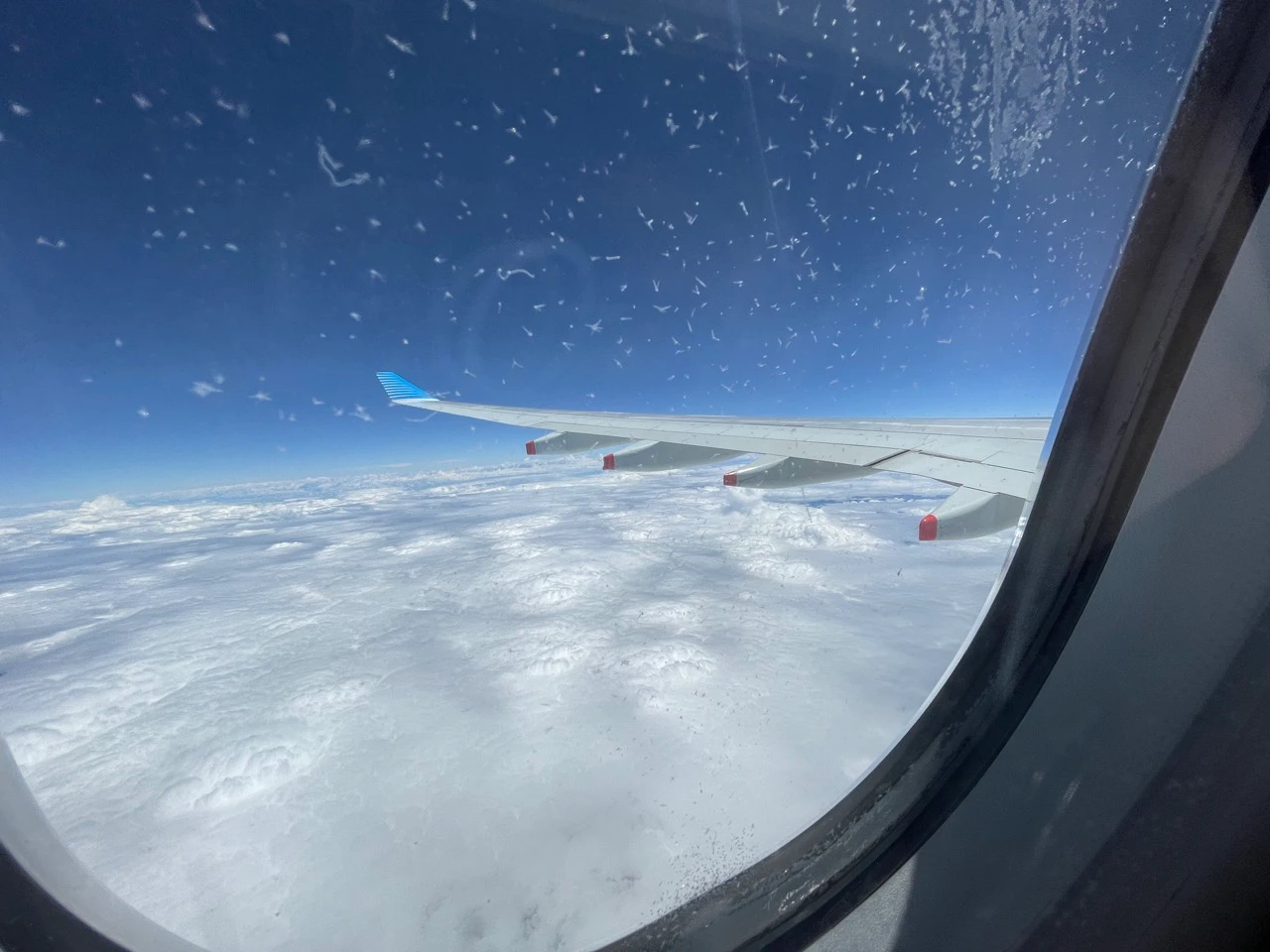 Aerolineas Argentinas A330-200 Economy Class (23)