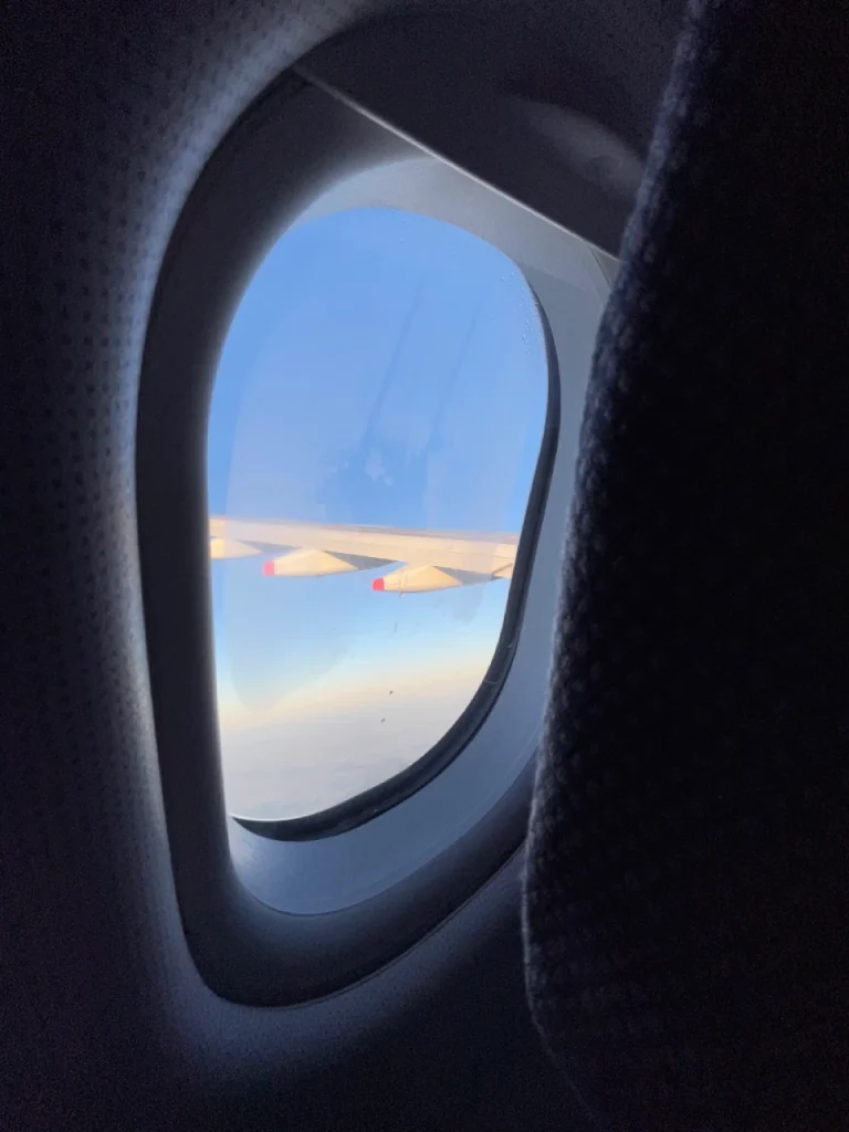 Aerolineas Argentinas A330-200 Economy Class (31)