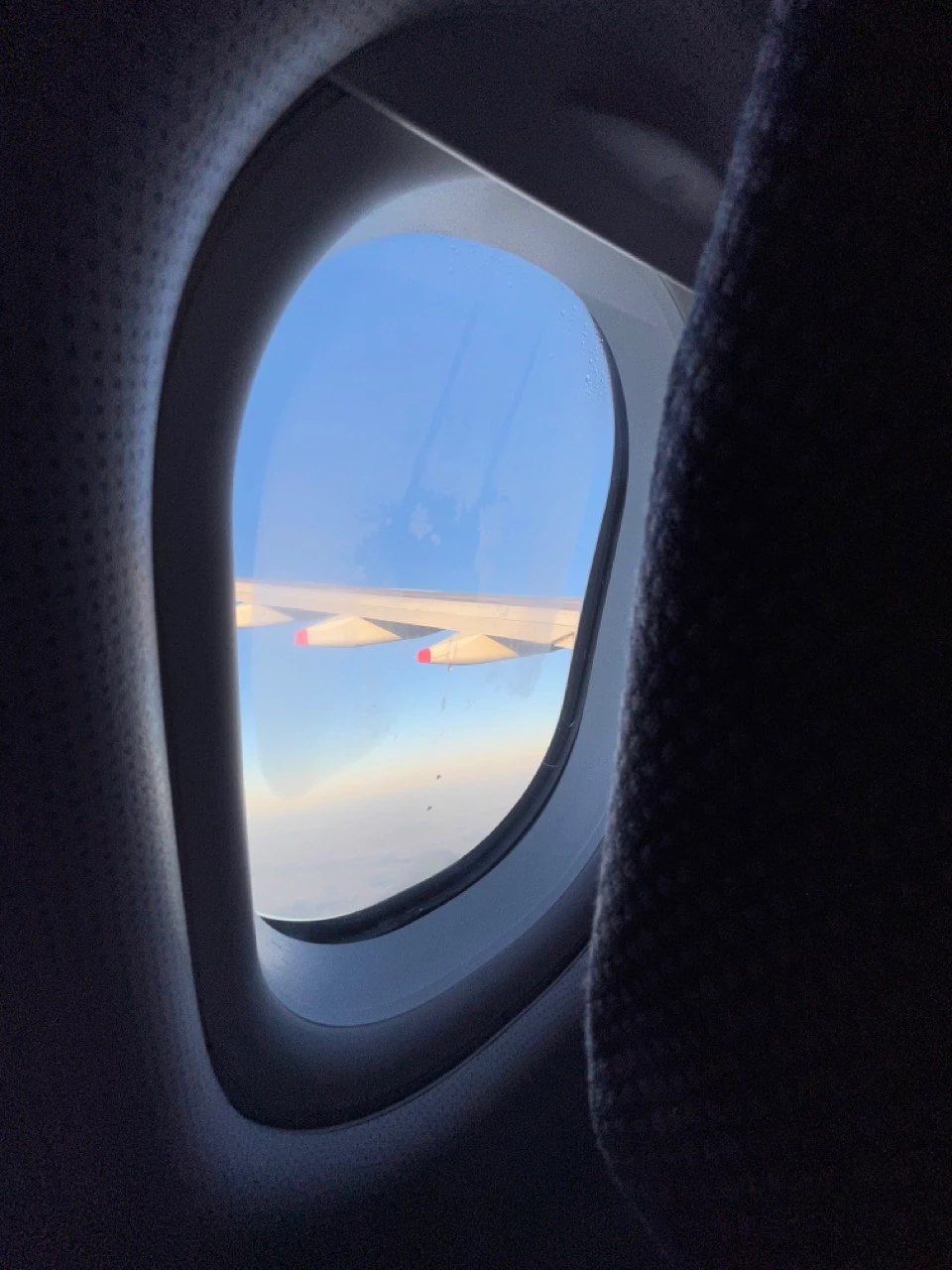 Aerolineas Argentinas A330-200 Economy Class (31)