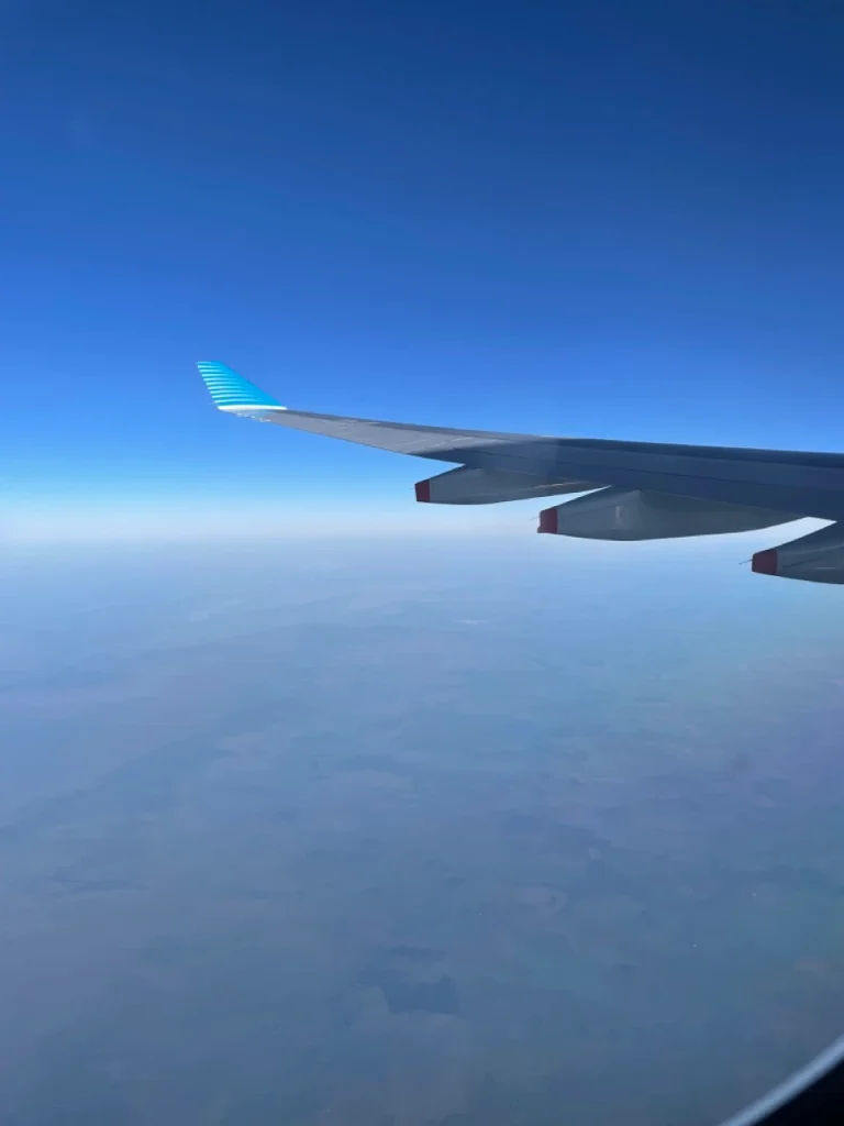 Aerolineas Argentinas A330-200 Economy Class (32)