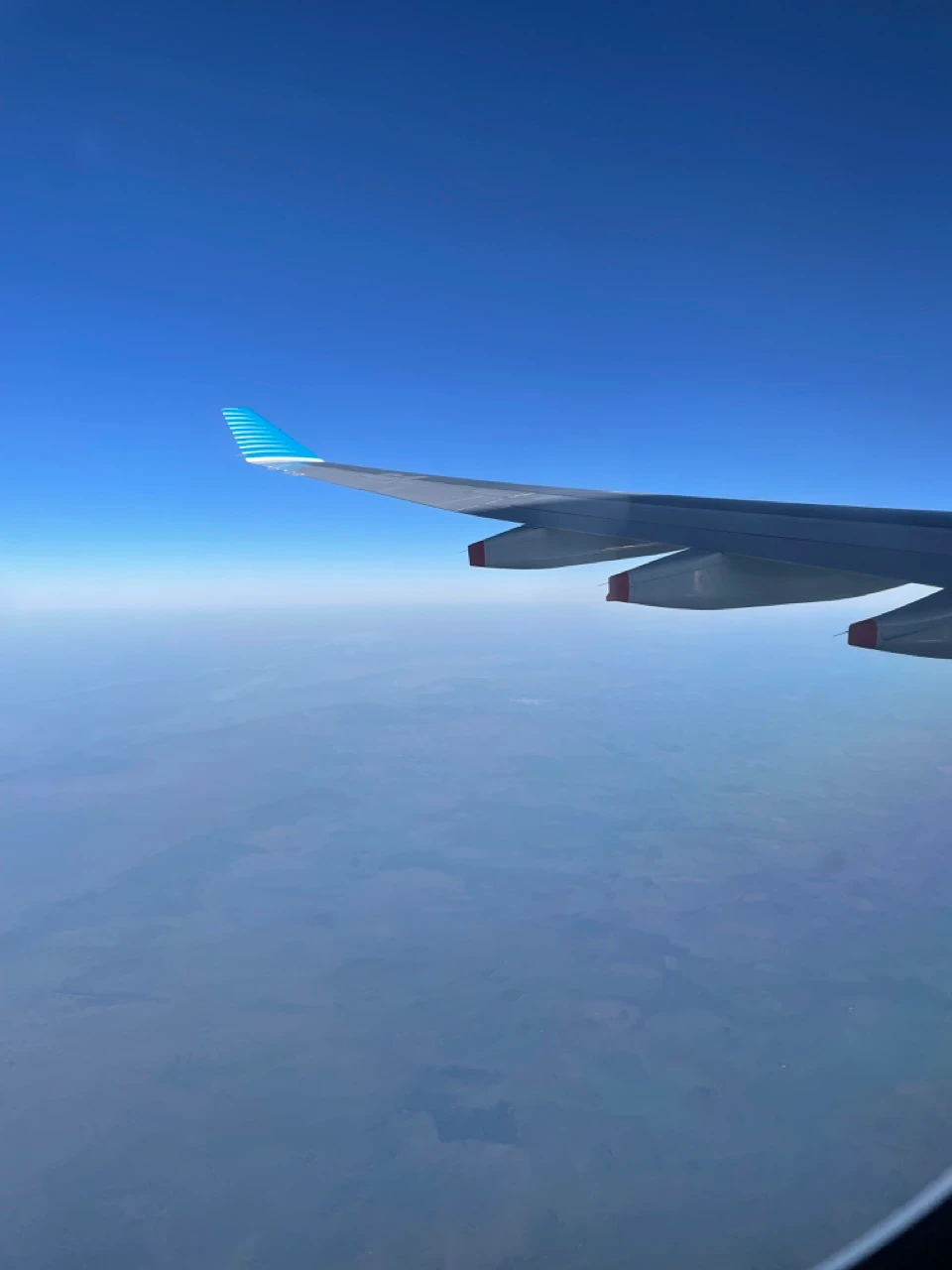 Aerolineas Argentinas A330-200 Economy Class (32)