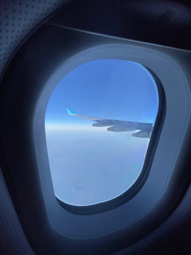 Aerolineas Argentinas A330-200 Economy Class (34)