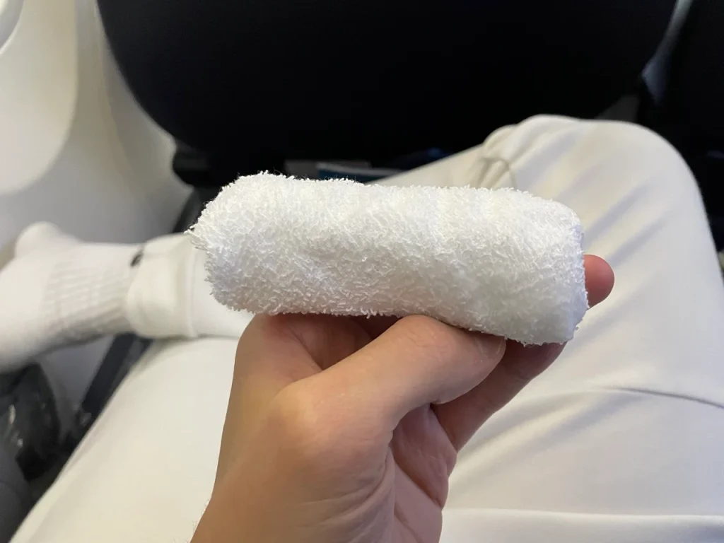 Copa 737-800 Business Class in 2023: Meal Service