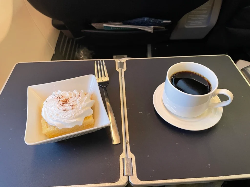 Copa 737-800 Business Class in 2023: Meal Service