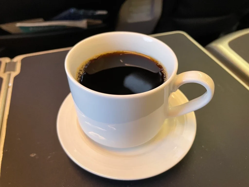 Copa 737-800 Business Class in 2023: Meal Service