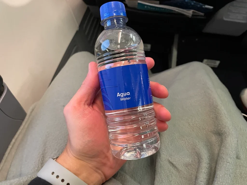 Copa 737-800 Business Class in 2023: Meal Service