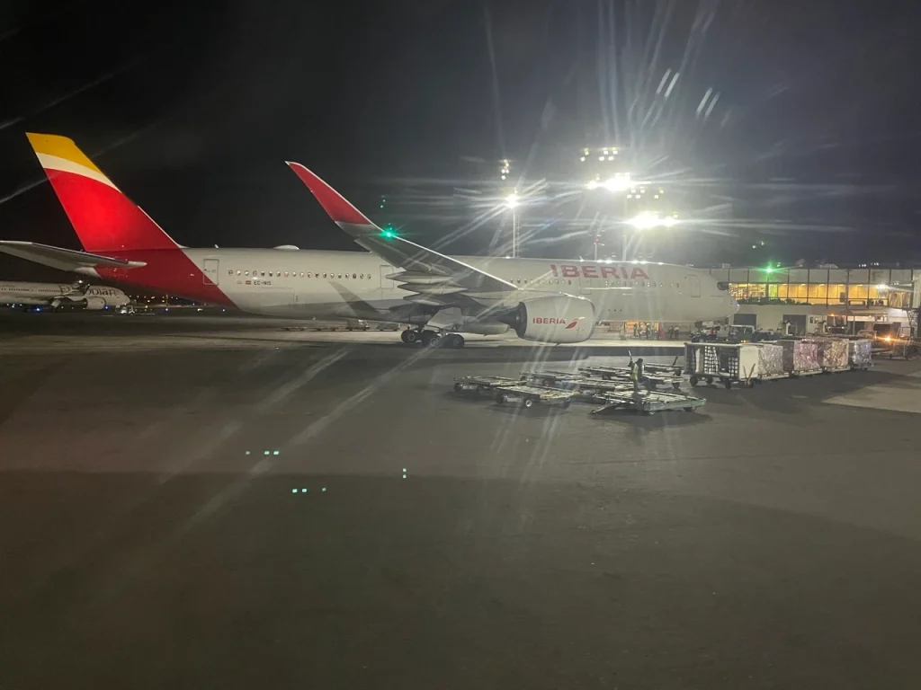 Copa 737-800 Business Class in 2023: Arrival in Buenos Aires
