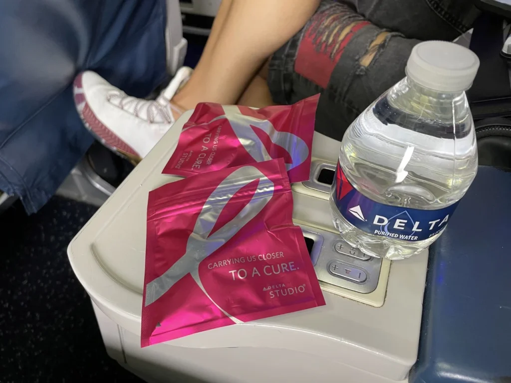 Delta Miami to Boston: Headphones 737-800 First Class (DL494)