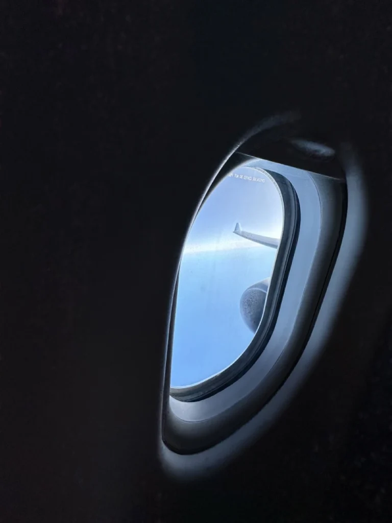 Aerolineas Argentinas A330-200 Cabin