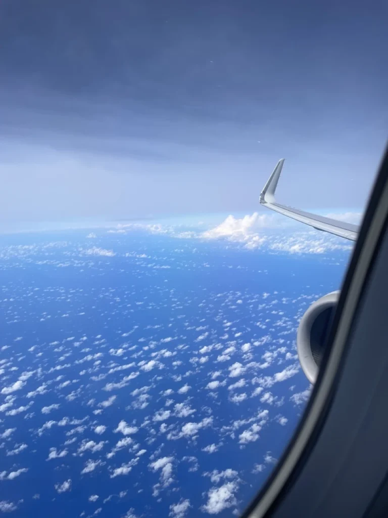 American Airlines A321neo First Class In 2023 - Window View