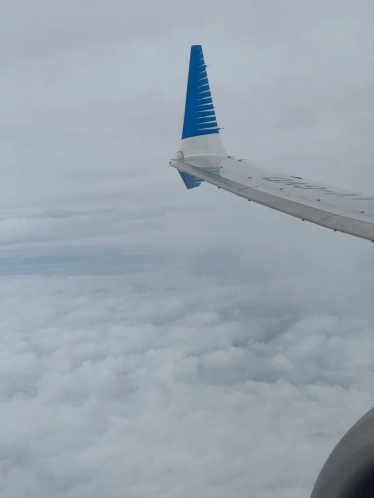 Aerolineas Argentinas 737 MAX 8 Wing
